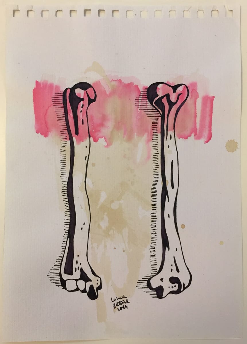 bones-2014-poor-quality-photo